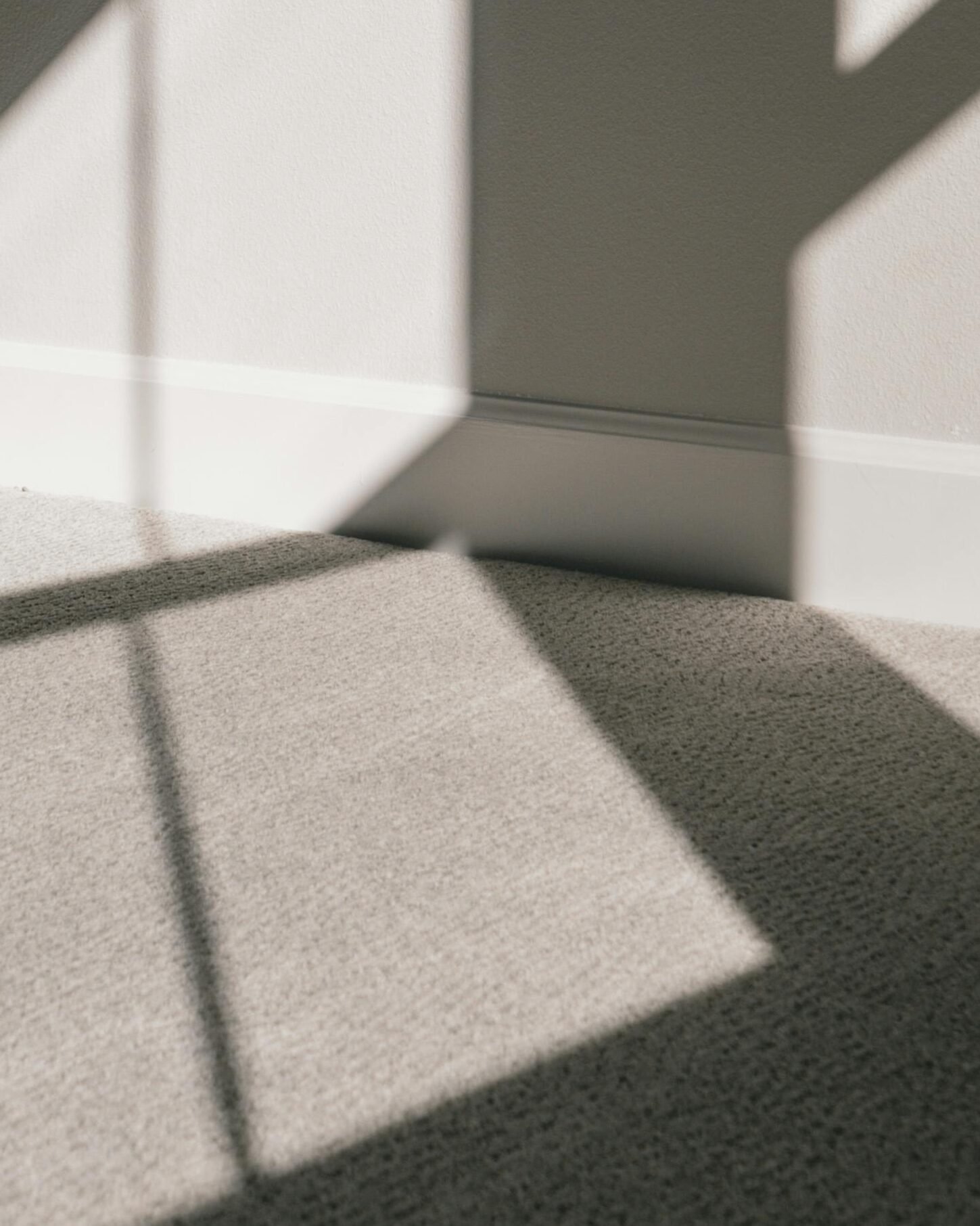 How Much Does It Cost to Install Carpet? (2026 Guide) carpet installation cost