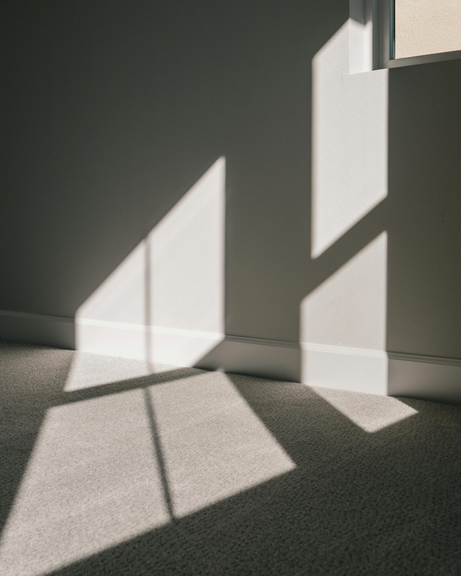 How Much Does It Cost to Install Carpet? (2026 Guide)