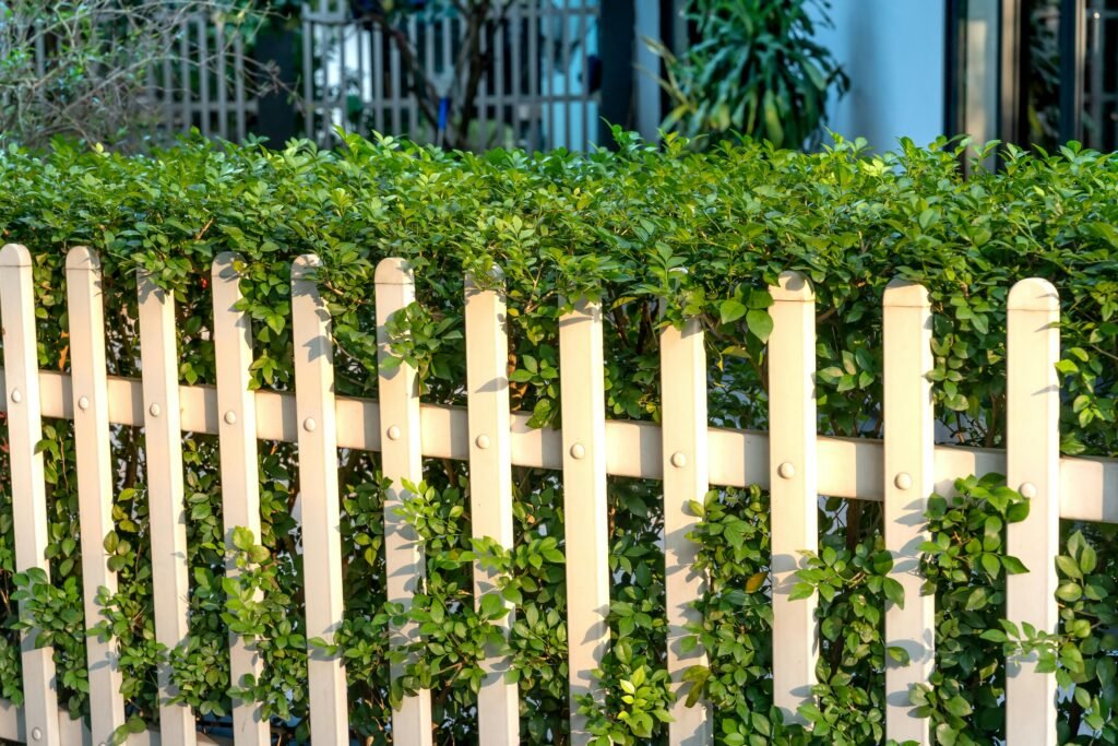 cost to install a fence